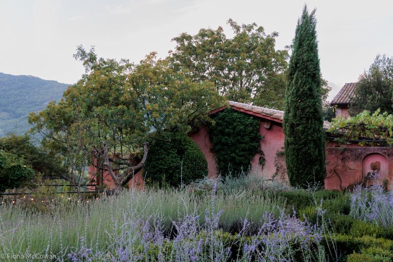 Lavender in front of Casa Rosa