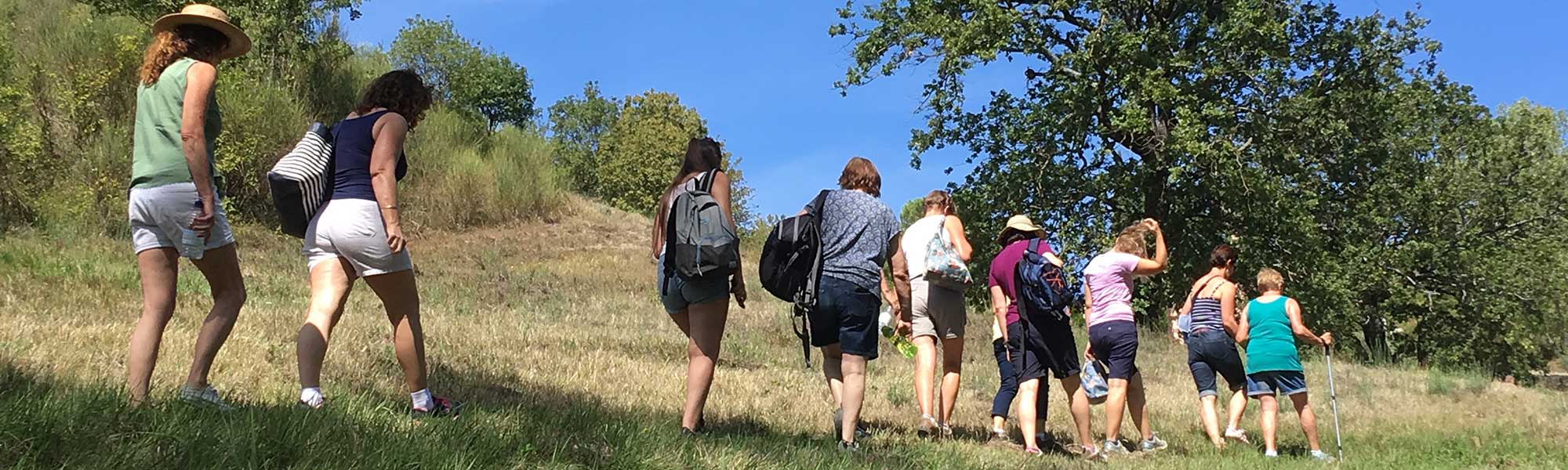 A group walking