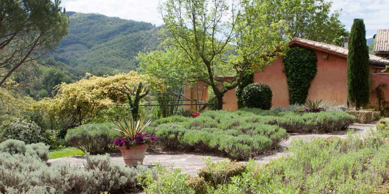 View across the gardens to the valley from Casa Rosa