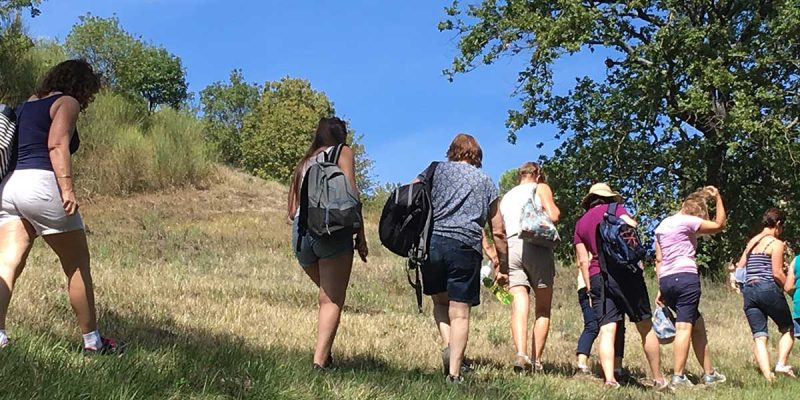 A group walking